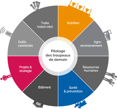 diagramme pole de competences